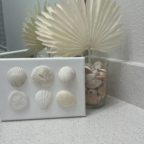 ⚪️White Shell Canvas! - Picture 1 of 2